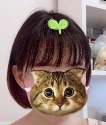 -THE LOG SALON 记录