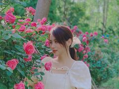 -合肥滨湖国家森林公园