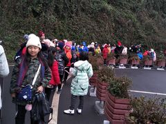 -中国大熊猫保护研究中心雅安碧峰峡基地