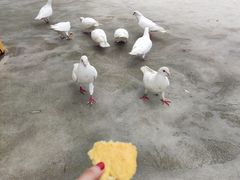 -威海华夏城景区