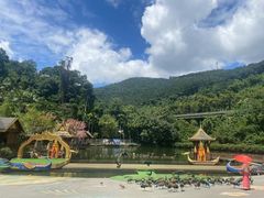 -西双版纳原始森林公园