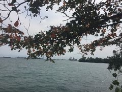 -巴拉湾海滩