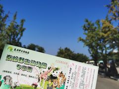 -秦岭欢乐世界