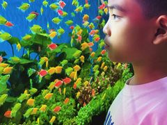 -梅陇花鸟市场-停车场