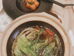 -锦粤宫·精致粤菜(深圳北站店)