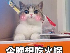 -九宫阁(南龙蟠街融创茂店)
