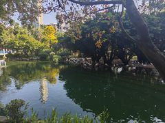 -九龙公园