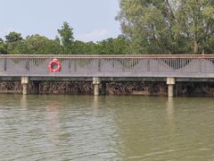 -东寨港红树林旅游区