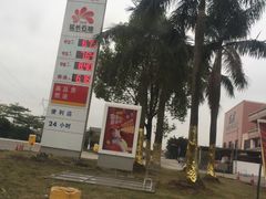 -延长壳牌加油站(广州番禺区龙湾站)