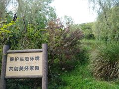 -新江湾城公园