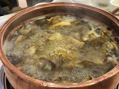 鸡汤菌火锅-野生菌火锅(菌王村店)