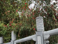 -荔湾湖公园