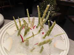 竹笋小森林-芸山季·云南野生菌火锅(宝能环球汇店)