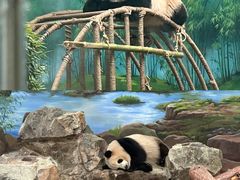 -杭州动物园