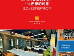 -上海盛视天橙传媒股份有限公司