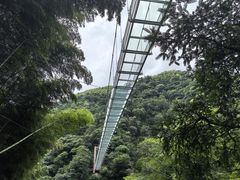 -藏龙百瀑风景区