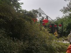 -卫鼎轩·曹公馆(鼓楼店)