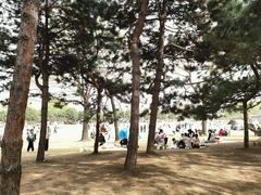 -石家庄市植物园