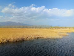 -野鸭湖国家湿地公园