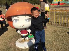 -上海长兴岛郊野公园