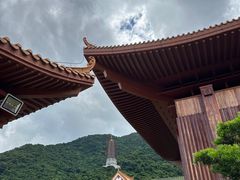 -深圳仙湖植物园
