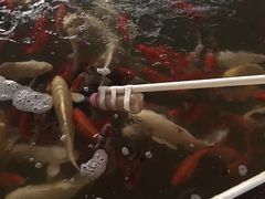 游乐设施-南宫五洲植物乐园