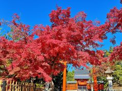 -天龙寺