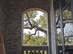 -江心屿景区