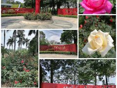 -文华公园(禅城区)