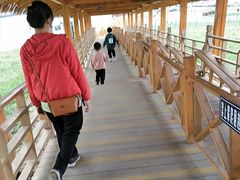 -江布拉克景区怪坡停车场