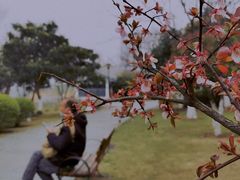 -月湖风景区