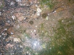 -青岛第三海水浴场