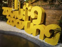 -Zoolung Zoolung动物主题公园(海信广场店)