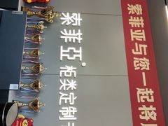 -索菲亚衣柜橱柜家具全屋定制(十里河居然之家店)