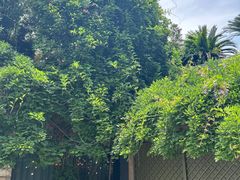 -时间仓(月湖公园店)