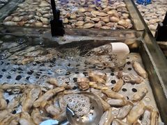 -领鲜活海鲜榴莲自助火锅(东门店)