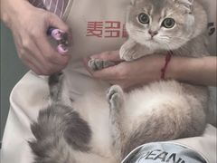 -四月宠物医院·猫专科·心脏专科·内科(转塘店)