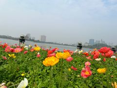 -顺峰山公园