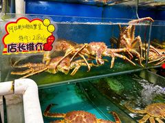 -蚝专家(北滘店)
