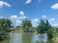 -马陆小张葡萄园农家乐