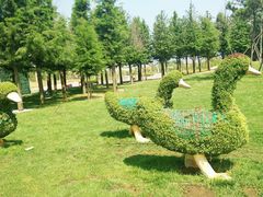 -羊亭河湿地公园