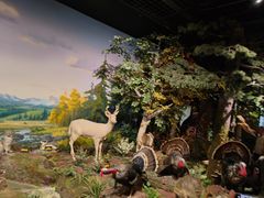 -陕西自然博物馆