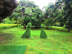 -荔香公园