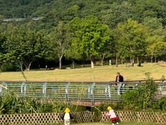 -牛岗山公园