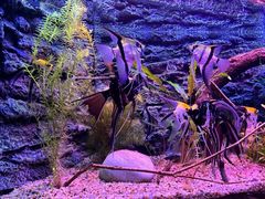 -上海海洋水族馆