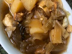 -东方巨龟苑景区