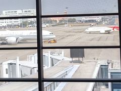 -虹桥机场国航贵宾室v8