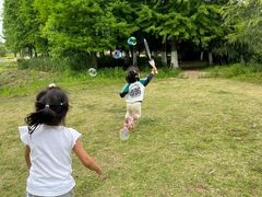 -苏州太湖国家湿地公园