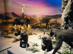 -国家自然博物馆