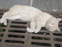 -宝通禅寺